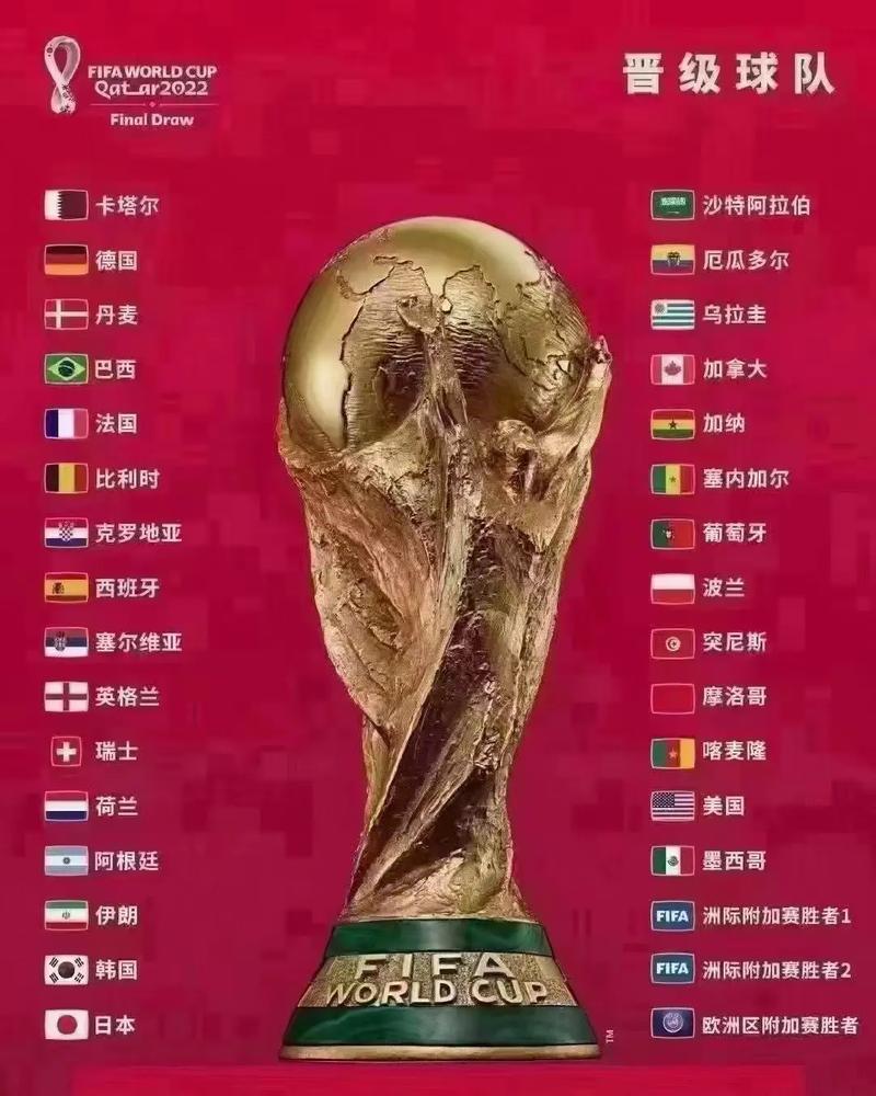 世界杯决赛回放cctv完整版