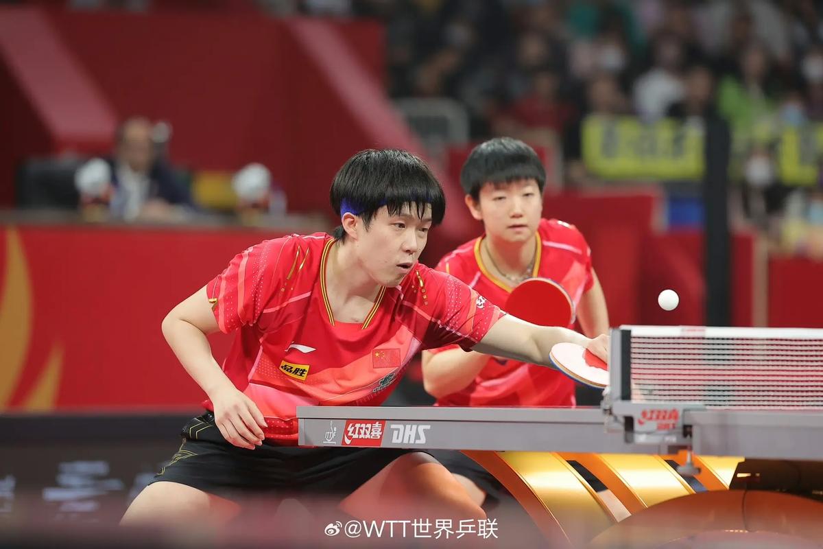 2013乒乓球世界杯团体